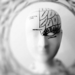 Group logo of Forrest Gump